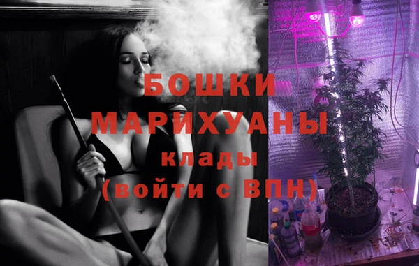 apvp Алзамай