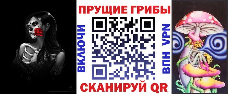 Псилоцибиновые грибы мицелий гидра ссылка Нолинск где можно купить наркотик
