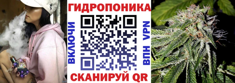 Марихуана THC 21%  ОМГ ОМГ зеркало  Нолинск 